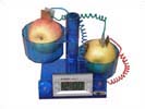 能的转换仪器-水果钟(MS307.8-B)